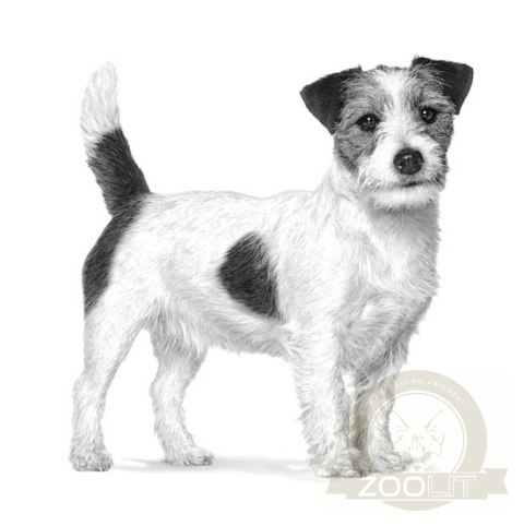 Royal Canin Veterinary Diet Canine Anallergenic Small 1,5kg Royal Canin Veterinary Diet Canine Anallergenic Small 1,5kg