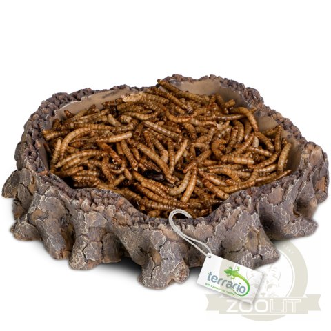 Terrario Root Bowl - Miska do Terrarium 16x16x4 cm Terrario Root Bowl - Miska do Terrarium 16x16x4 cm