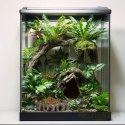 Terrario Root Bowl - Miska do Terrarium 16x16x4 cm