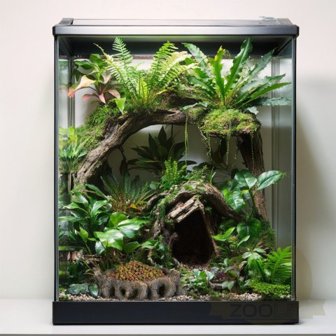 Terrario Root Bowl - Miska do Terrarium 16x16x4 cm Terrario Root Bowl - Miska do Terrarium 16x16x4 cm