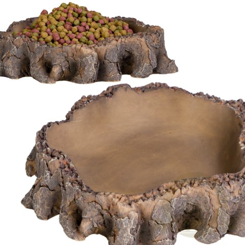 Terrario Root Bowl - Miska do Terrarium 16x16x4 cm Terrario Root Bowl - Miska do Terrarium 16x16x4 cm