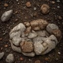 Terrario Stone Circle Bowl XL - Miska do Terrarium 29x26x7,5 cm