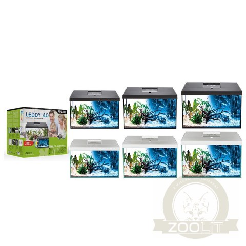 Aquael Leddy 75 Day&Night Black 2.0 - zestaw akwariowy Aquael Leddy 75 Day&Night Black 2.0 - zestaw akwariowy