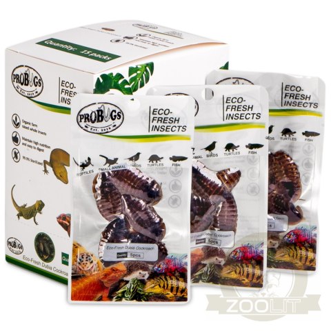 ProBugs Eco-Fresh Dubia Cockroach 5pcs - świeże karaczany argentyńskie ProBugs Eco-Fresh Dubia Cockroach 5pcs - świeże karaczany argentyńskie