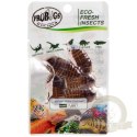 ProBugs Eco-Fresh Dubia Cockroach 5pcs - świeże karaczany argentyńskie