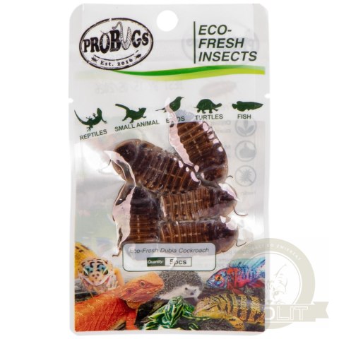 ProBugs Eco-Fresh Dubia Cockroach 5pcs - świeże karaczany argentyńskie ProBugs Eco-Fresh Dubia Cockroach 5pcs - świeże karaczany argentyńskie
