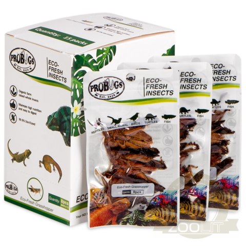 ProBugs Eco-Fresh Grasshopper 8pcs - świeże koniki polne ProBugs Eco-Fresh Grasshopper 8pcs - świeże koniki polne
