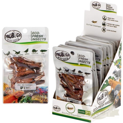 ProBugs Eco-Fresh Grasshopper 8pcs - świeże koniki polne ProBugs Eco-Fresh Grasshopper 8pcs - świeże koniki polne