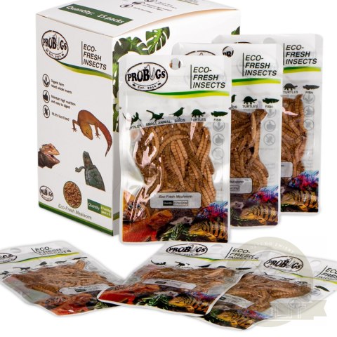 ProBugs Eco-Fresh Mealworm 15 x 20g - świeże larwy mącznika 15 saszetek ProBugs Eco-Fresh Mealworm 15 x 20g - świeże larwy mącznika 15 saszetek