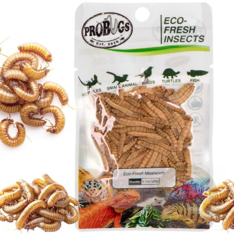 ProBugs Eco-Fresh Mealworm 15 x 20g - świeże larwy mącznika 15 saszetek ProBugs Eco-Fresh Mealworm 15 x 20g - świeże larwy mącznika 15 saszetek