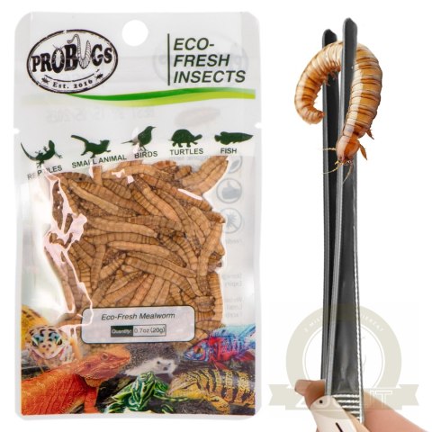 ProBugs Eco-Fresh Mealworm 15 x 20g - świeże larwy mącznika 15 saszetek ProBugs Eco-Fresh Mealworm 15 x 20g - świeże larwy mącznika 15 saszetek