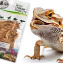 ProBugs Eco-Fresh Mealworm 15 x 20g - świeże larwy mącznika 15 saszetek