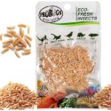 ProBugs Eco-Fresh Riceworm 15g - świeże larwy muchy