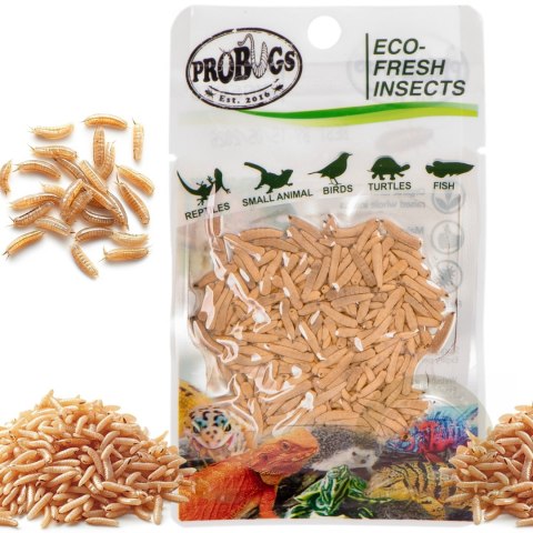 ProBugs Eco-Fresh Riceworm 15g - świeże larwy muchy ProBugs Eco-Fresh Riceworm 15g - świeże larwy muchy