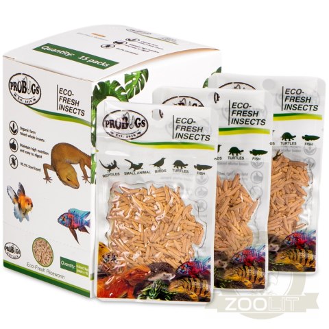 ProBugs Eco-Fresh Riceworm 15g - świeże larwy muchy ProBugs Eco-Fresh Riceworm 15g - świeże larwy muchy