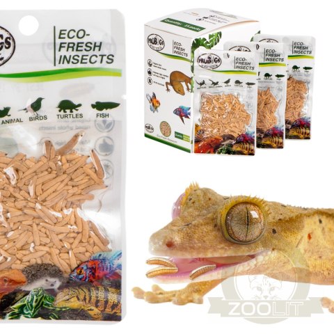 ProBugs Eco-Fresh Riceworm 15g - świeże larwy muchy ProBugs Eco-Fresh Riceworm 15g - świeże larwy muchy