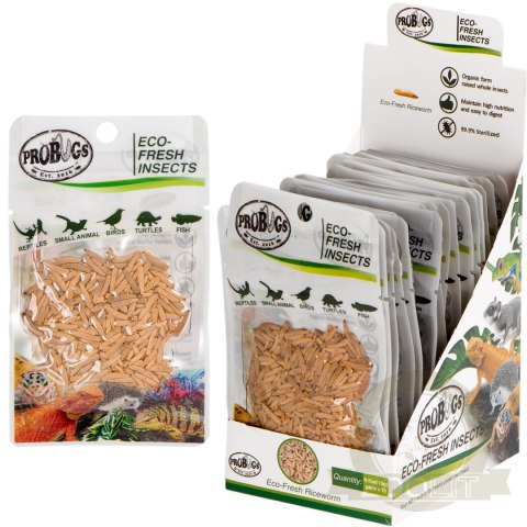 ProBugs Eco-Fresh Riceworm 15g - świeże larwy muchy ProBugs Eco-Fresh Riceworm 15g - świeże larwy muchy