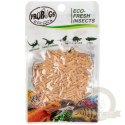 ProBugs Eco-Fresh Riceworm 15g - świeże larwy muchy