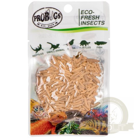 ProBugs Eco-Fresh Riceworm 15g - świeże larwy muchy ProBugs Eco-Fresh Riceworm 15g - świeże larwy muchy