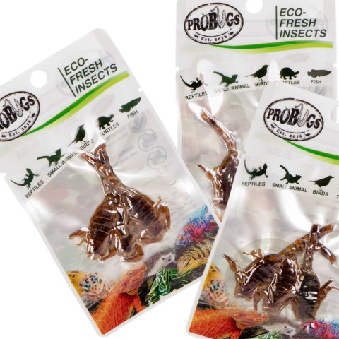 ProBugs Eco-Fresh Scorpion 15 x 3pcs - świeże skorpiony 15 saszetek ProBugs Eco-Fresh Scorpion 15 x 3pcs - świeże skorpiony 15 saszetek