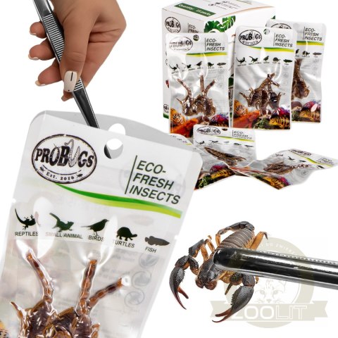 ProBugs Eco-Fresh Scorpion 15 x 3pcs - świeże skorpiony 15 saszetek ProBugs Eco-Fresh Scorpion 15 x 3pcs - świeże skorpiony 15 saszetek