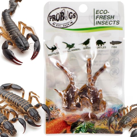 ProBugs Eco-Fresh Scorpion 15 x 3pcs - świeże skorpiony 15 saszetek ProBugs Eco-Fresh Scorpion 15 x 3pcs - świeże skorpiony 15 saszetek