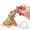 ProBugs Eco-Fresh Scorpion 15 x 3pcs - świeże skorpiony 15 saszetek