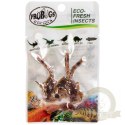 ProBugs Eco-Fresh Scorpion 15 x 3pcs - świeże skorpiony 15 saszetek