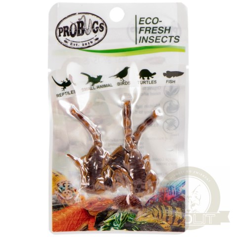 ProBugs Eco-Fresh Scorpion 15 x 3pcs - świeże skorpiony 15 saszetek ProBugs Eco-Fresh Scorpion 15 x 3pcs - świeże skorpiony 15 saszetek