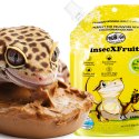 ProBugs InsecXFruits 80g - kompletna dieta pokarm i witaminy w żelu dla gadów