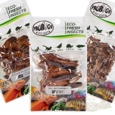 Probugs Reptiles Set - zestaw robaków dla średnich gadów Probugs Reptiles Set - zestaw robaków dla średnich gadów