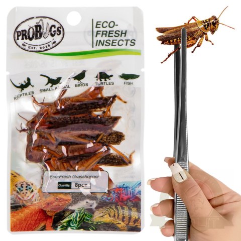 Probugs Reptiles Set - zestaw robaków dla średnich gadów Probugs Reptiles Set - zestaw robaków dla średnich gadów