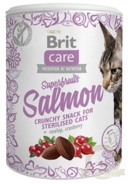 Brit Care Cat Snack Superfruits Salmon 100g