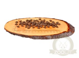 Carnilove Cat Reindeer Energy & Outdoor - renifer 400g