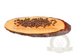Carnilove Cat Salmon Sensitive & Long Hair - łosoś 400g