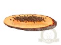 Carnilove Cat Salmon & Turkey for Kittens - łosoś i indyk 400g