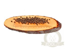Carnilove Cat Salmon & Turkey for Kittens - łosoś i indyk 400g