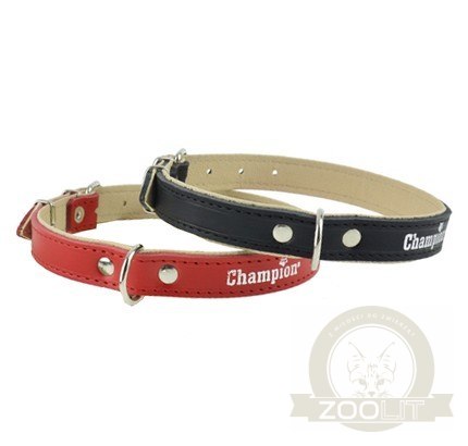 Champion Obroża Skórzana na skórce czerwona SK/S 50/1,8 (R) [SOS]