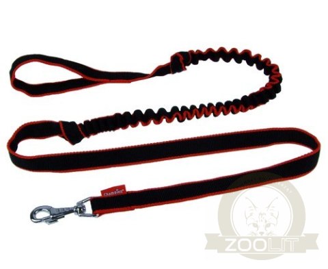 Champion Smycz taśma amortyzowana 2,5 [TSA]