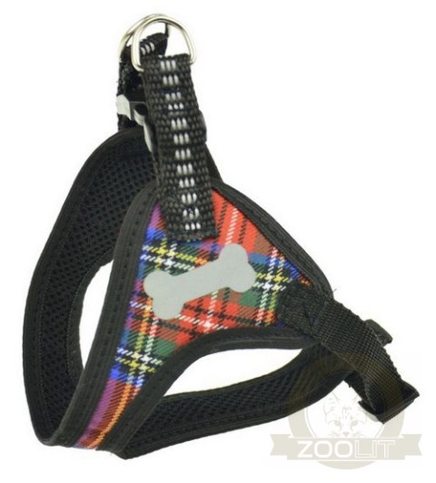 Champion Szelki taśma 40 komfort [TSZ]