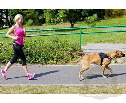 Dingo Smycz do biegania - taśma z amortyzatorem 170cm z rączką czarna Dingo Smycz do biegania - taśma z amortyzatorem 170cm z rączką czarna