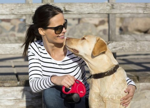 Flexi New Classic Smycz taśma L 5m niebieska [FL-2312]