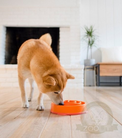 Outward Hound Fun Feeder Mini Miska spowalniająca pomarańczowa [51004]