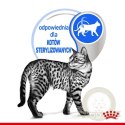 Royal Canin Indoor Sterilised Jelly karma mokra dla kotów dorosłych sterylizowanych, przebywających w domu saszetka 85g