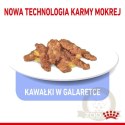 Royal Canin Indoor Sterilised Jelly karma mokra dla kotów dorosłych sterylizowanych, przebywających w domu saszetka 85g