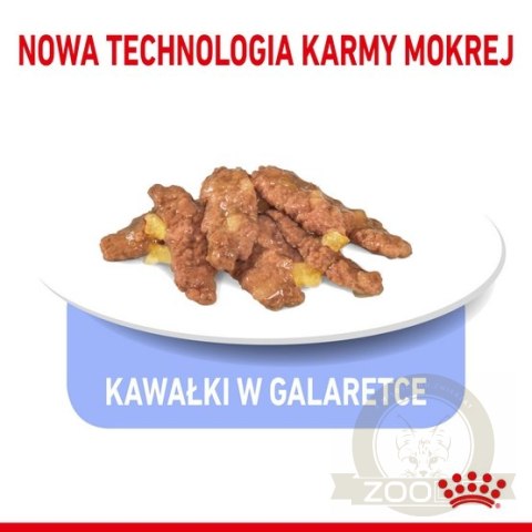 Royal Canin Indoor Sterilised Jelly karma mokra dla kotów dorosłych sterylizowanych, przebywających w domu saszetka 85g Royal Canin Indoor Sterilised Jelly karma mokra dla kotów dorosłych sterylizowanych, przebywających w domu saszetka 85g
