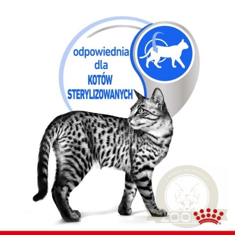 Royal Canin Indoor Sterilised sos karma mokra dla kotów dorosłych sterylizowanych, przebywających w domu saszetka 85g Royal Canin Indoor Sterilised sos karma mokra dla kotów dorosłych sterylizowanych, przebywających w domu saszetka 85g
