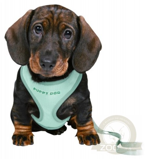 Trixie Szelki ze smyczą Junior 26-34cm miętowe [15565]