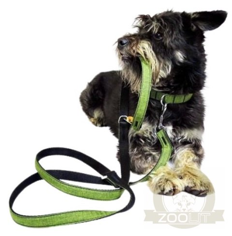 Dingo Smycz przedłużana Scandi 2x220cm szara Dingo Smycz przedłużana Scandi 2x220cm szara