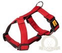 Dingo Szelki Guard dwupaskowe Scandi 3cm rozmiar M czerwone